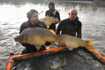 Netting & stock check - 10