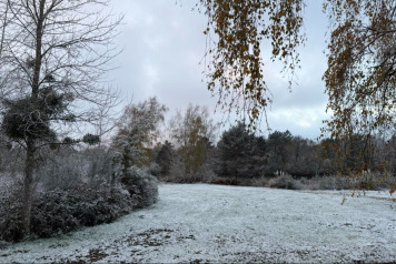 Walking In A Winter Wonderland - 1