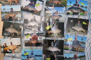 PHOTOS 2026 - 1