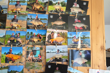 PHOTOS 2026 - 2