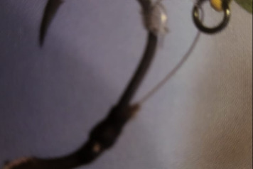 Fishing Technique - 4