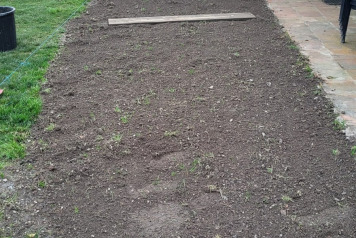 New Terrace Lawn - 1