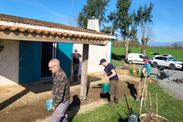 New Terrace Lawn - 3