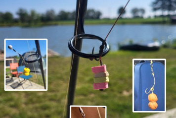 Some information & advice - 6