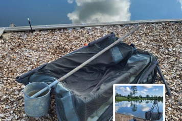 Some information & advice - 1