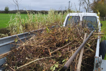 cleanliness and safety - 1