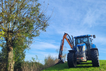 cleanliness and safety - 2