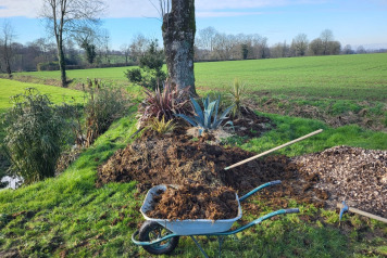 cleanliness and safety - 5