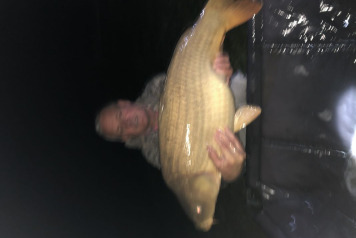 Brexit & New bait - 4