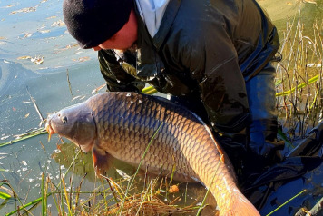 Another Stocking at Evaro - 2