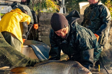 Annual Draining and Netting - 3