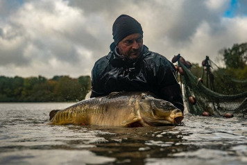 Annual Draining and Netting - 1