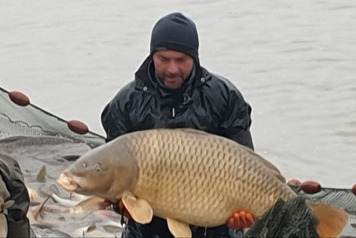 Annual Draining and Netting - 1