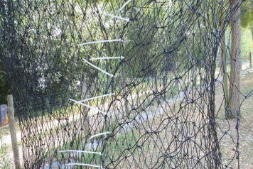 Home made retention sling - 1