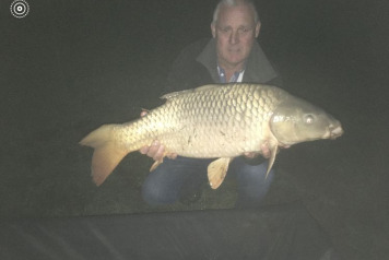 Brexit & New bait - 2