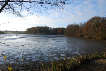 Annual Draining and Netting - 5