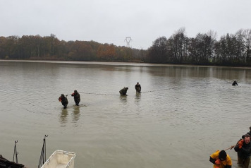 Annual Draining and Netting - 2