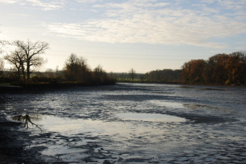 Annual Draining and Netting - 4