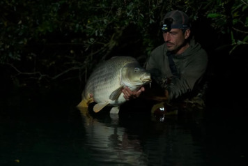 Beauties of the Night - 1