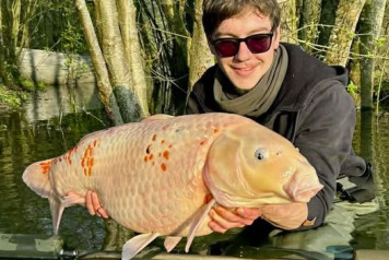 THE ACTION CONTINUES AT EMERAUDE CARP! - 1