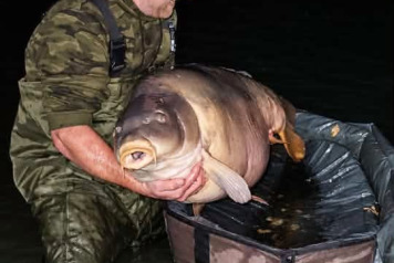 RECORD BROKEN AT EMERAUDE CARP ! - 2