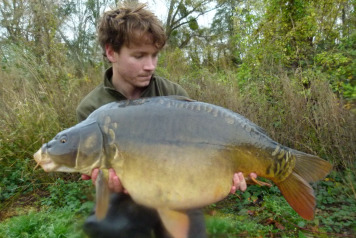 Work party & big rewards - 1