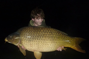 Work party & big rewards - 3