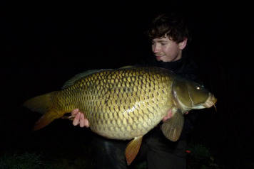 Work party & big rewards - 2