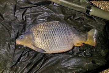 Work Party Update - 1