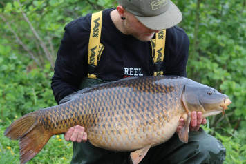 A Work Trip with a Few Carp Too - 2
