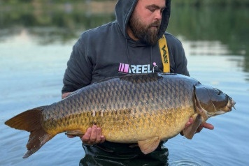 A Work Trip with a Few Carp Too - 4