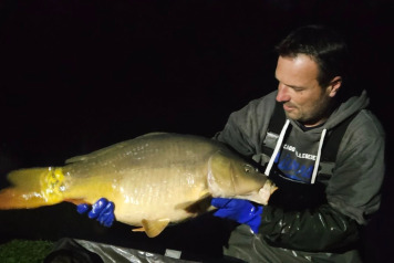 Additional Stocking - 4