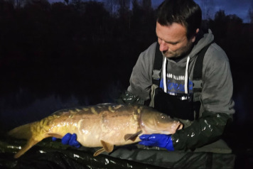 Additional Stocking - 6