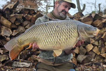 A quick 48hr session - 4