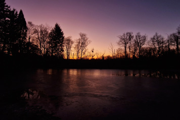 January 2025 Lake Update - 4