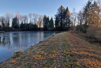 January 2025 Lake Update - 2