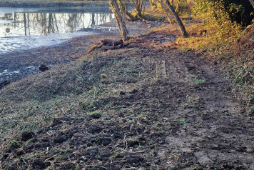 January 2025 Lake Update - 5