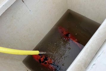 Another couple of additions - 3