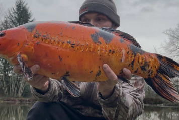 Another couple of additions - 1