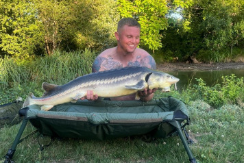 End of year wrap up pt 1 - 9