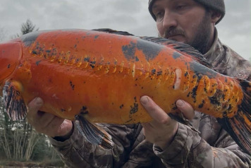 Another couple of additions - 2