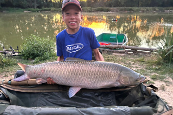 End of year wrap up pt 1 - 15