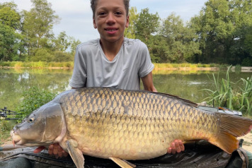 End of year wrap up pt 1 - 5