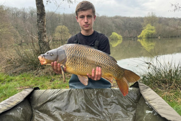 New Stock & Netting - 1