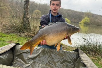 New Stock & Netting - 2