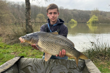 New Stock & Netting - 3