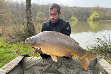 New Stock & Netting - 4