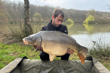 New Stock & Netting - 5