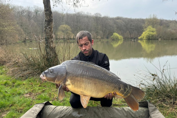 New Stock & Netting - 6