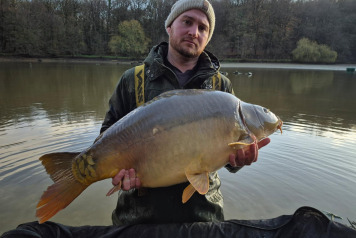 New Stock & Netting - 8